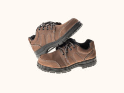 image of brown casual shoes